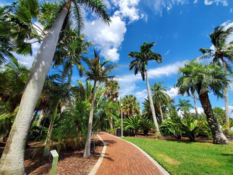 Natalie E Rose star perfect image