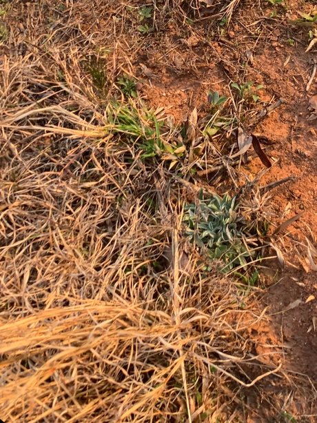 u223611483 nudes model images