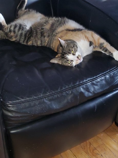 Funkeecold erotic actress photo