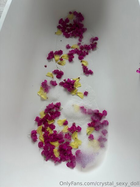 Cristal Sexy Angel 1_ top actress picture