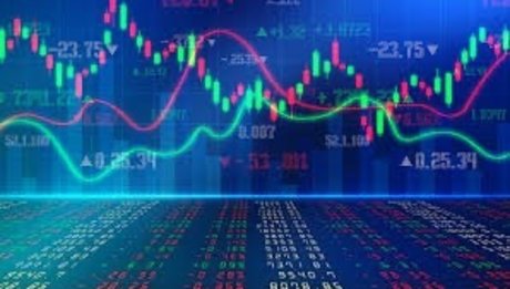 cryptotiger star nudes galleries