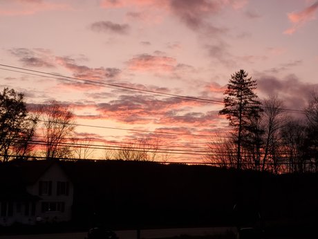 Chrisp porn model gallery