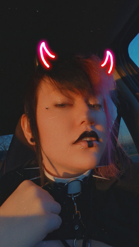 Cryptic star exclusive gallery