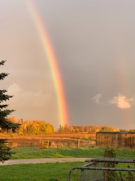 Chloena Starchild pornographic actress images