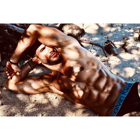 Freedome hot star picture