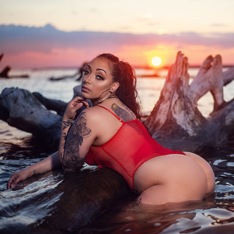 Kate Curvy For Days hd star images