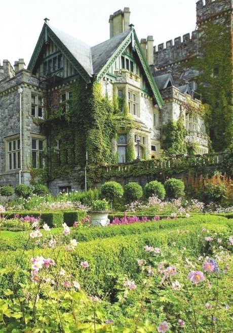 curly and curvy model nudes pic