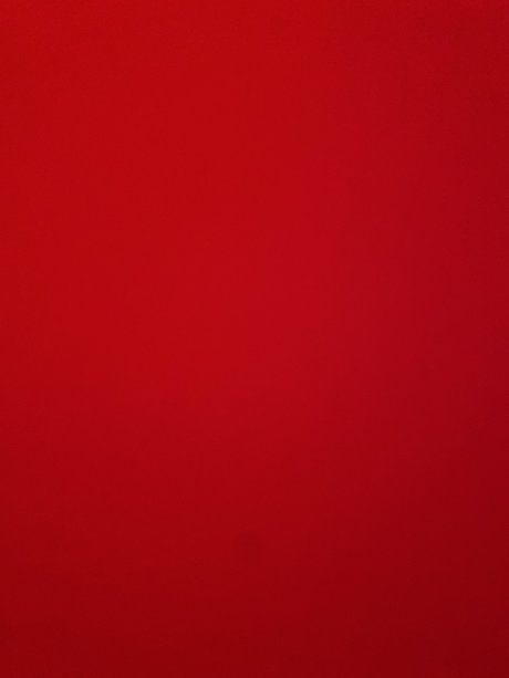 Lil Ally pornstar art pic