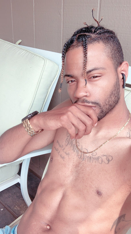 Nealthefinesser star pornographic archive