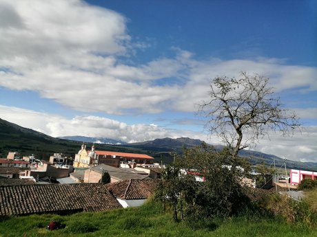 Nayely exclusive actress pic