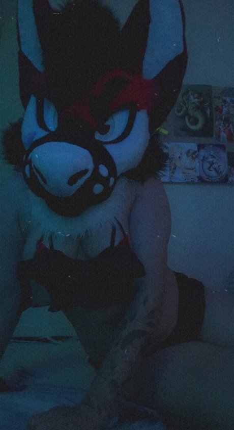 Crazy Creations nude pornstar pictures