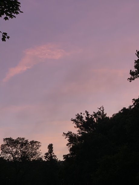 C S_ nudes star images