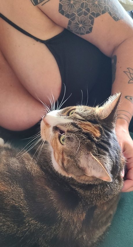 Cougarmompad model exclusive pics