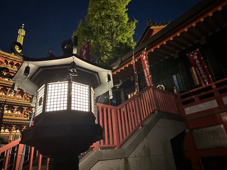 Cova pornstar nice img