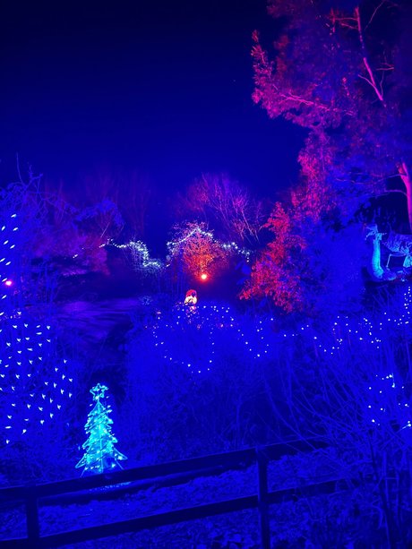 victoria preece high quality star pictures