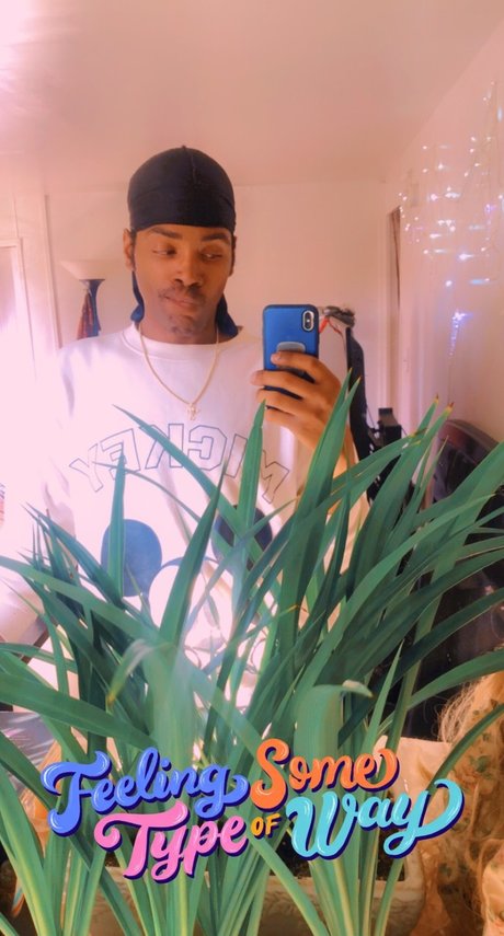 Tracii star adult photo