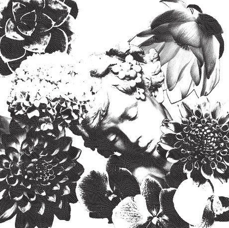 BigDaddyLongLegs erotic pornstar pic