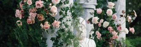 Misty Fae sexy pornstar galleries