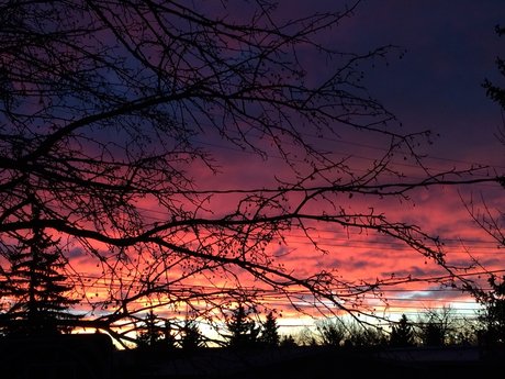 Alice s Wonderland_ hot star photo