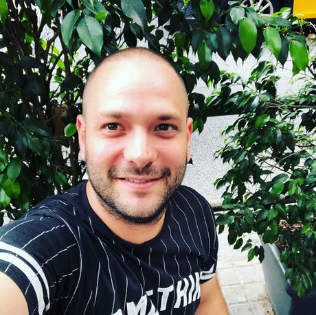 David T Rex best model archive