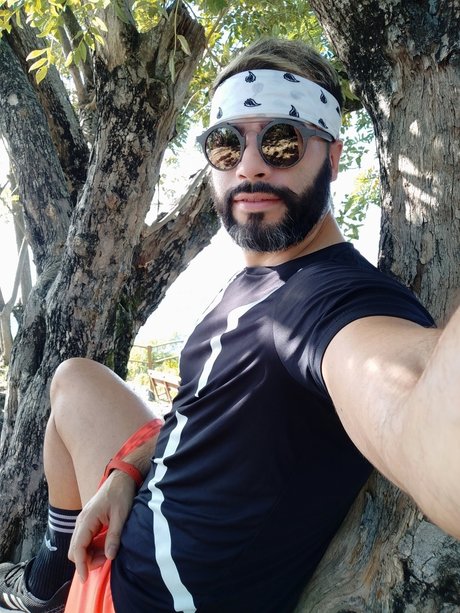 L cal best star gallery