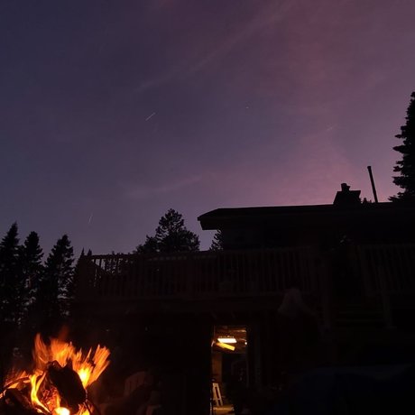 NicNeko star gallery