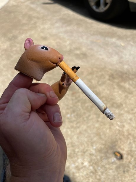 NightOwl beautiful actress images