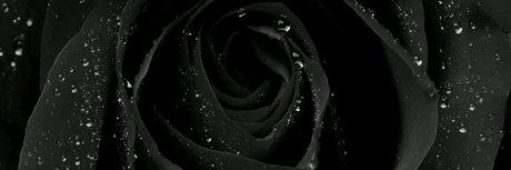 Ni as in Paris model adult pictures