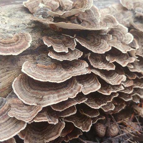 Joanna Banana nice model photos