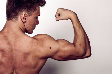 Alpha Lord Levi top pornstar images