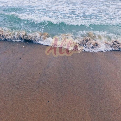 alta star nice photo