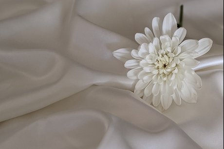 Aisha Love sex star pic