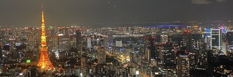 nintendopandax star naked photo