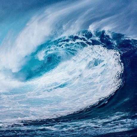 Ninja27 star nice img