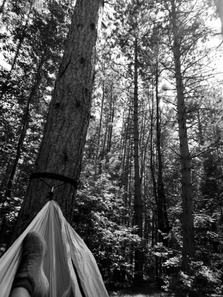 Nikki Starz star hd photos