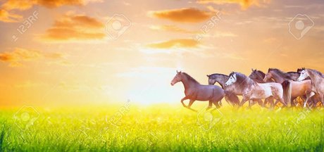 BabesWhoEat model art pic