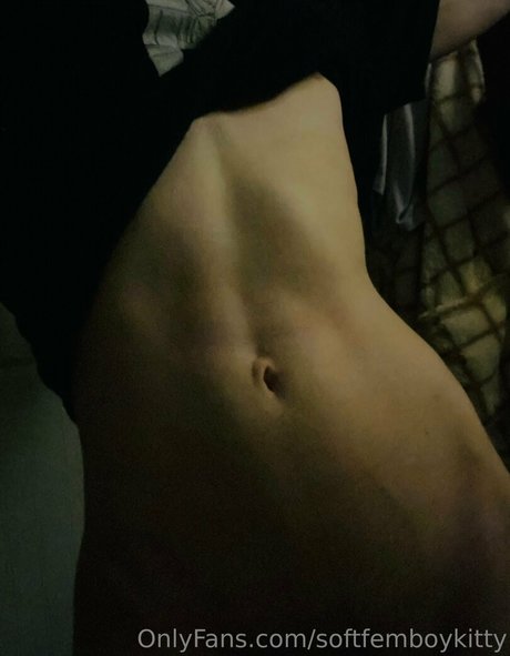 softfemboykitty pornstar nudes photos