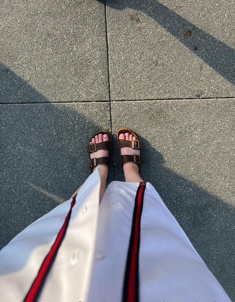 dezzydoefree perfect star archive