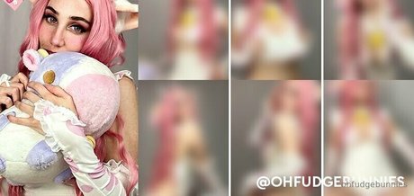 ofudgebunni star best pics