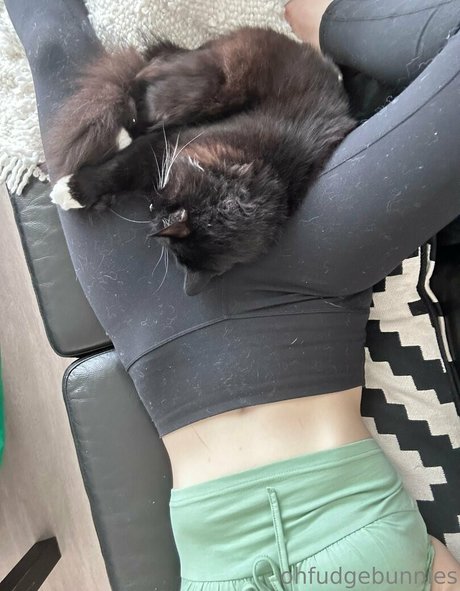 ofudgebunni sexy star gallery