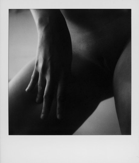 sisuuz star beautiful galleries