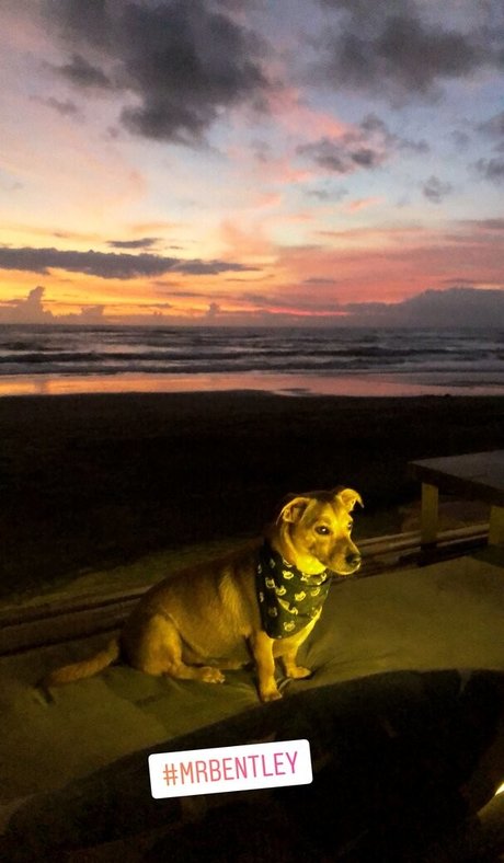 seduction onlyfans free xxx photos