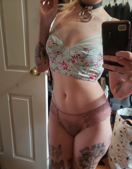 molotovcocktease star art pictures