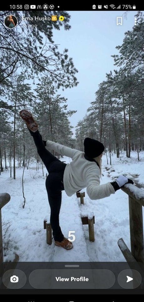 Erna Husko beautiful model photos