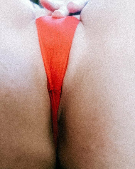 waverlyluxe star beautiful gallery