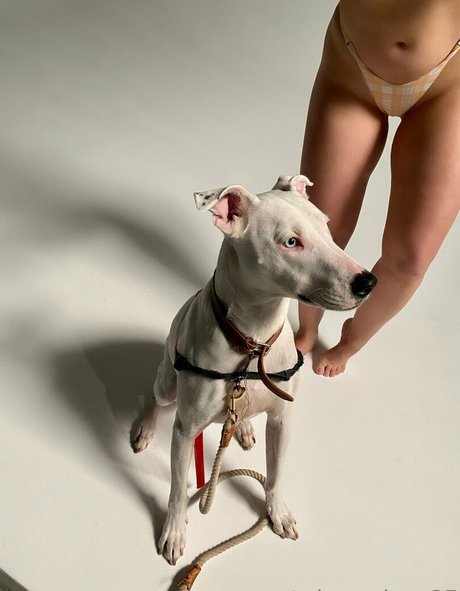 cherrydtv hot actress pictures