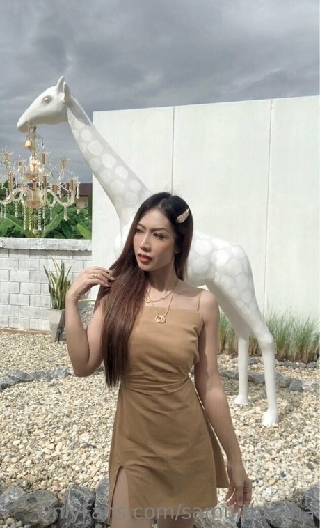 samuithisana art pornstar galleries