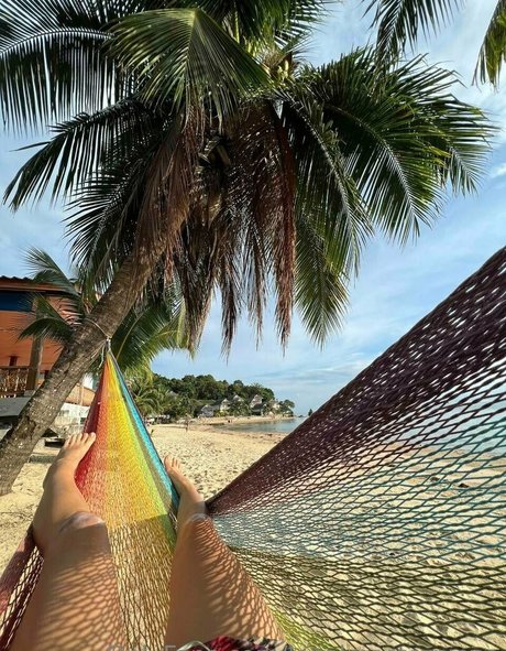 Localmasterpiece star perfect img