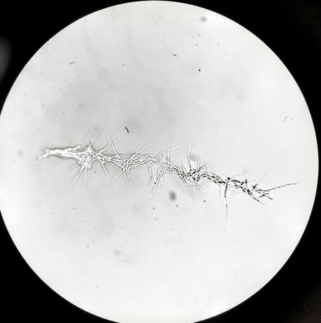 freesexypsychedelic adult model pics