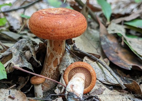 freesexypsychedelic model sexy gallery